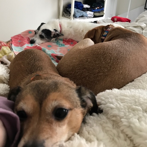 Meet your Posher, Kayla - Picture 8 of 8